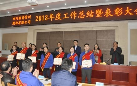 2018年度工作总结暨表彰大会