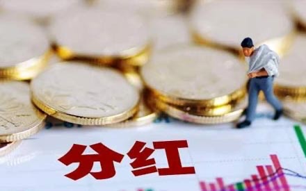 四川问鼎娱乐股份有限公司 分红派现公告