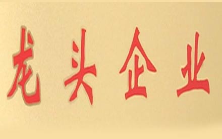 热烈祝贺问鼎娱乐被确定为2017年度“龙头企业”