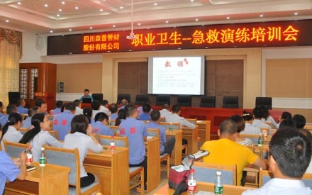四川问鼎娱乐股份有限公司 举办年度职业卫生-急救演练培训会