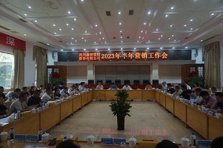 四川问鼎娱乐股份有限公司召开2023年半年营销工作会议